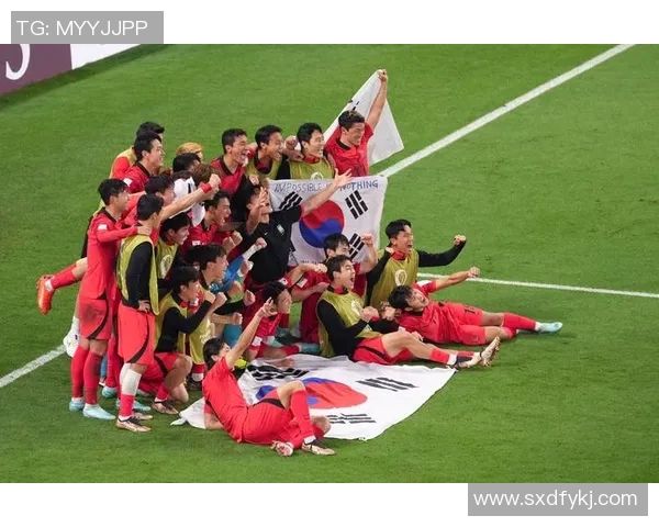 南京网球队在世界杯中的团队协作表现分析与启示